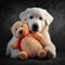 Golden retriever puppy with favorite teddy bear toy .