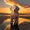 Golden retriever puppy. generative ai. Summer beach dog portrait. Portrait of a golden retriever dog