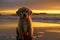 Golden retriever puppy. generative ai. Summer beach dog portrait. Portrait of a golden retriever dog