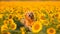 Golden retriever puppy playing in sunflower meadow, pure canine beauty generated by AI