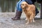 Golden retriever stands alert by her owner`s legs in the sand by a pond