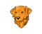 Golden Retriever vector icon illustration