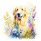 golden retriever watercolor clipart on white background