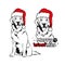 Golden retriver with Santa hat. Christmas Labrador dog portrait. Merry woofmas text. Vector illustration