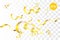 Golden ribbon spring confetti random falling