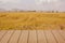 Golden rice field and wooden tables.