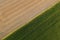 Golden ripe wheat field diagonaly divided by green corn field in sunset. Artistic view from above of farming in Czech republic.