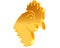 Golden Rooster on a white background