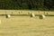 Golden, round hay bales, freshly cut in Ellington, Connecticut