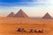 Golden Sahara with Camels and Pyramids