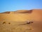 Golden sand dunes in central desert of Iran