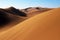 Golden sand dunes in central desert of Iran , near Kashan