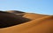 Golden sand dunes in desert , Iran