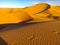 golden sand dunes in the full Sahara of Taghit in Algeria