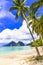 Golden sand,turquoise sea,palm trees and mountains,El nido,Palawan,Philippines.