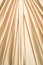 Golden satin curtain pattern