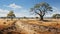 A golden savannah, scorched by the sun, reveals the intricacies of drought-tolerant flora