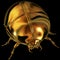 Golden scarab
