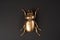 Golden scarab beetle on black background with copy space