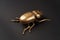 Golden scarab beetle on black background with copy space