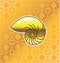 Golden Sea Shell Nautilus with golden Background Vector