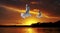 Golden seagull Ocean Sunset. Original exclusive photo art.
