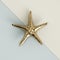 Golden seastar sculpture on pastel blue-ivory background. 3d re