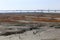 Golden seaweed, the nets in the tidal flat, the longest bridge in the world