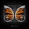 Golden section ratio, divine proportion and golden spiral on monarch butterfly vector illustration