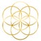 Golden Seed Of Life Flower Of Life