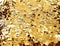 Golden sequin texture, background