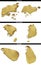 Golden shapes from the Asian states Singapore, South Korea, Sri Lanka