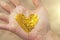 A golden shining heart lies in the hands of the girl. Heart in the palms. Golden heart