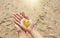 A golden shining heart lies in the hands of the girl. Heart in the palms. Golden heart