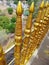 Golden shiny fence in srilanka.