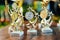 Golden, silver and bronze Trophy awards in a shape of a star and