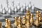 Golden and Silver chess surrounded by a number of fallen chess pieces, business strategy, chess battle, victory, success, teamwork