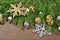 Golden and silver Christmas decorations and spruce branch