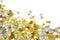 Golden and silver star confetti