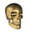 Golden skull in human perspective, isolated on white background