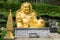 Golden smiling fat Buddha image in sitting position statue at Haedong Yonggungsa Temple in Busan