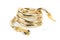 Golden snake bracelet