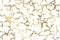 Golden snake skin vector template. luxurious abstract background of reptile skin, wild animals for advertising, invitations,