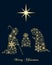 Golden Snowflakes Christmas Nativity