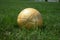 Golden soccerball