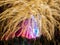 Golden sparkle with pink and blue. Spectacular fireworks