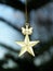 Golden star decoration