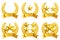 Golden star emblem set