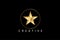 golden star logo, star symbol illustration , eps 10