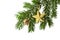 Golden star and pine cone on christmas tree branch